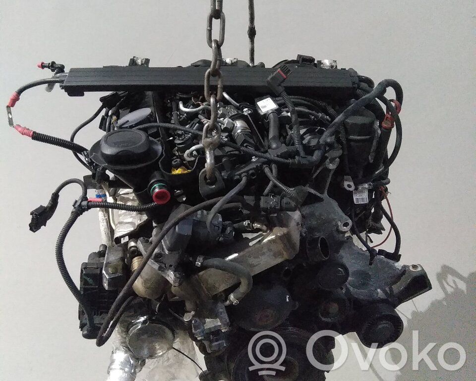 Engine   11002157056