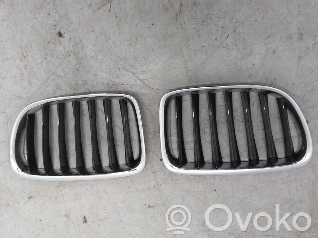 Front grill   51117347670