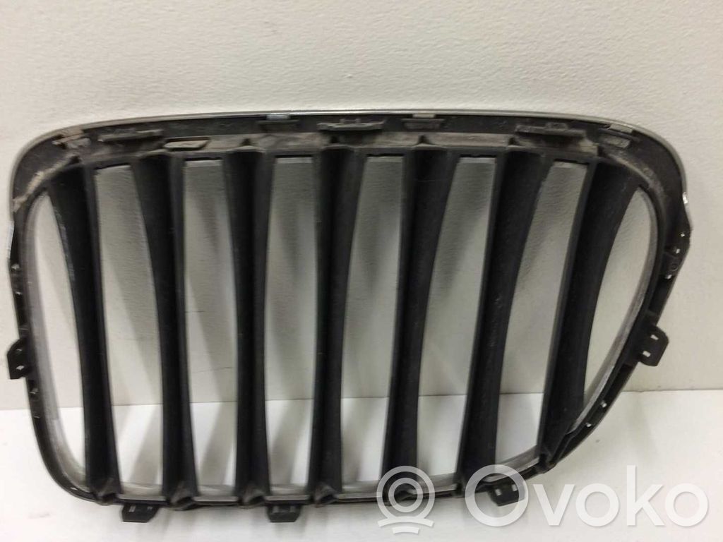 BMW X1 E84 Front grill 