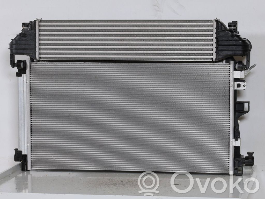 Alfa Romeo Tonale Radiator lichid răcire 