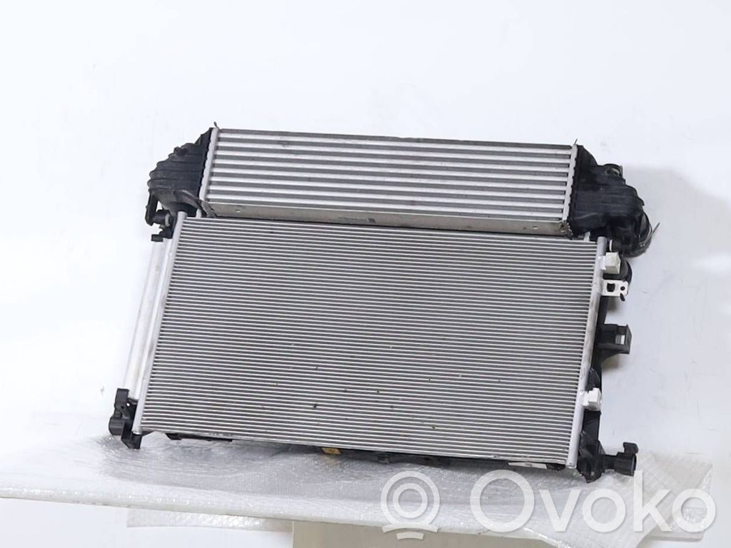 Alfa Romeo Tonale Radiator lichid răcire 