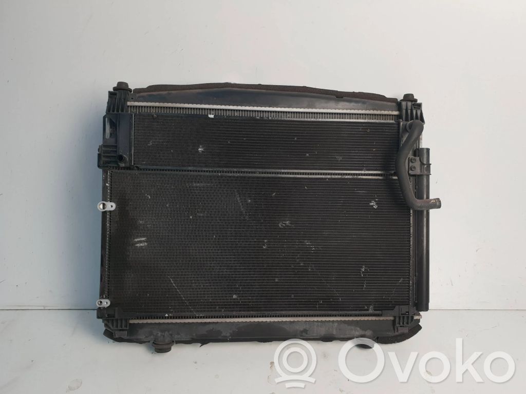Lexus RX 450H Radiator set 
