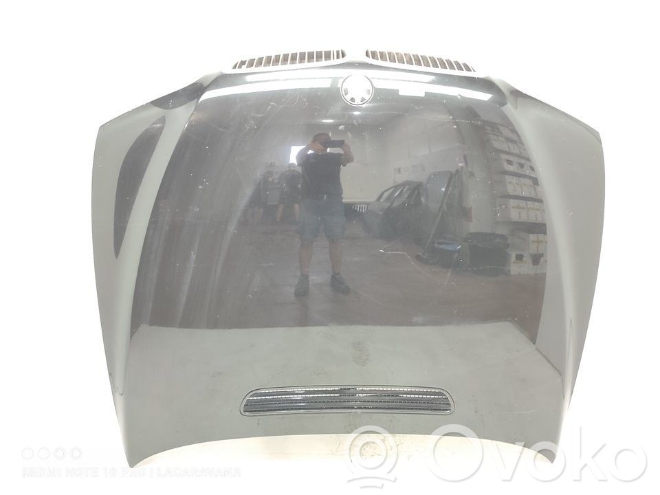 Capó/tapa del motor   41617043239