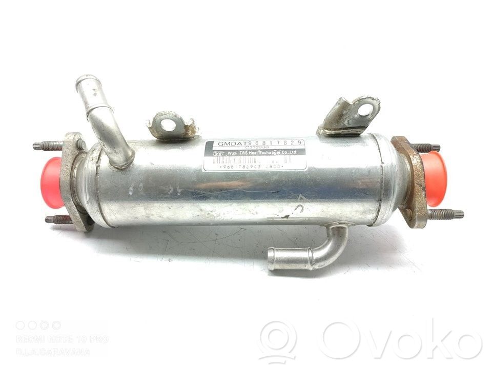 Chevrolet Captiva Refrigerador de la válvula EGR 