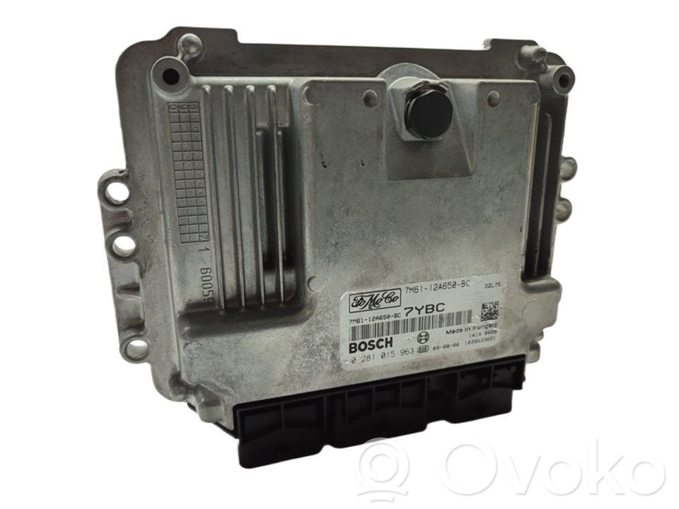 Engine control unit/module   0281015963