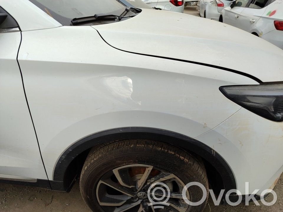 MG ZS Guardabarro 
