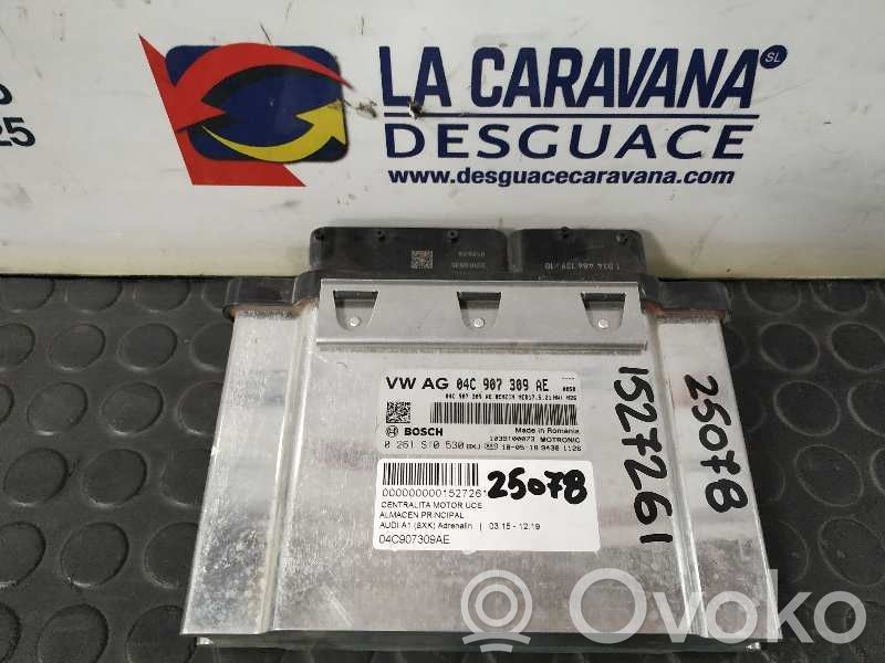 Engine control unit/module   04C907309AE