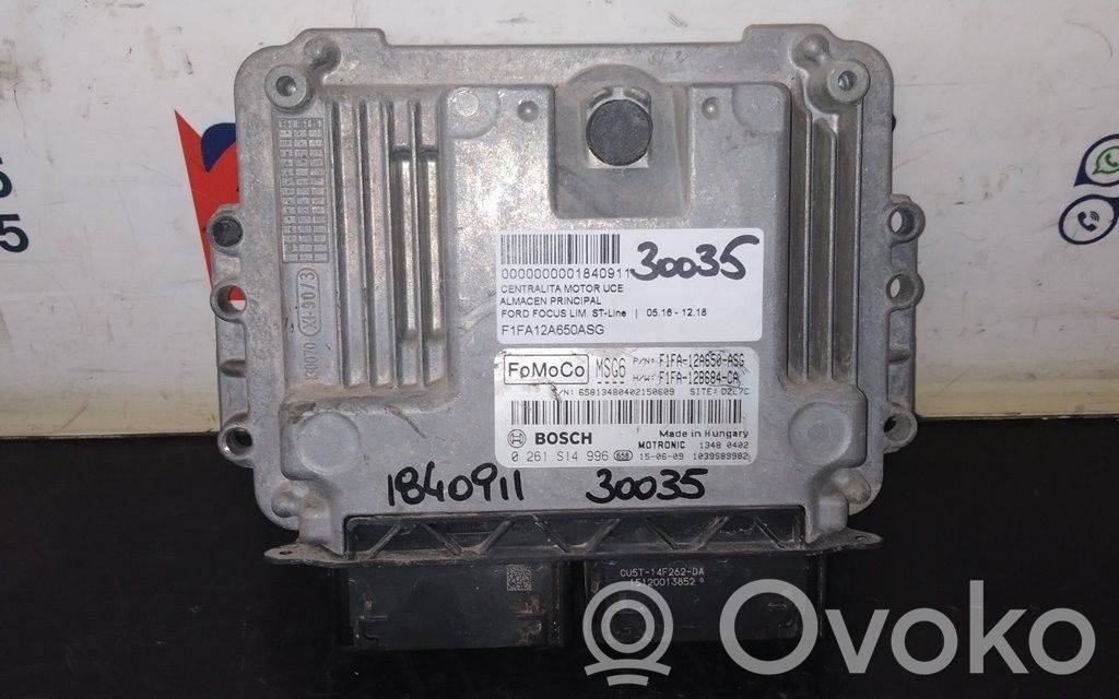 Ford Focus Engine control unit/module 