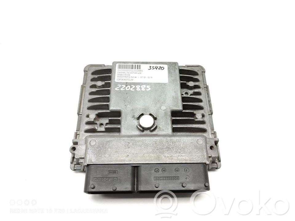 Engine control unit/module   03F906070JM
