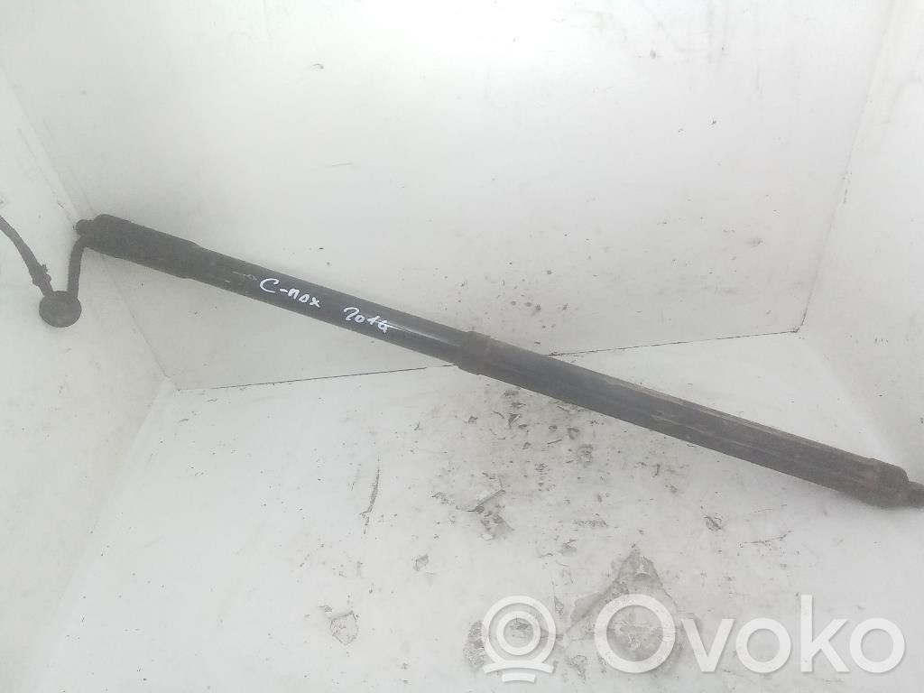 Ford C-MAX II Tailgate/trunk strut/damper 