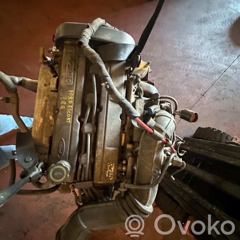 Engine   RKC