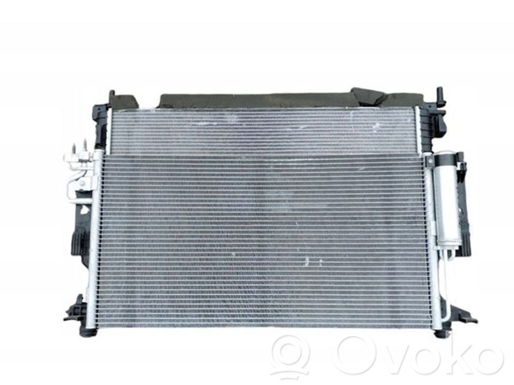 Radiator set   8C607,19710