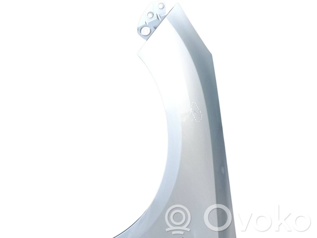 Guardabarro   BM51A16009AG