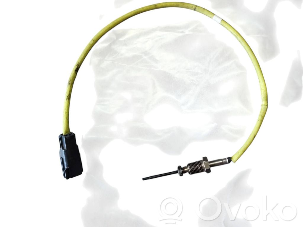 Ford Focus Abgastemperatursensor 