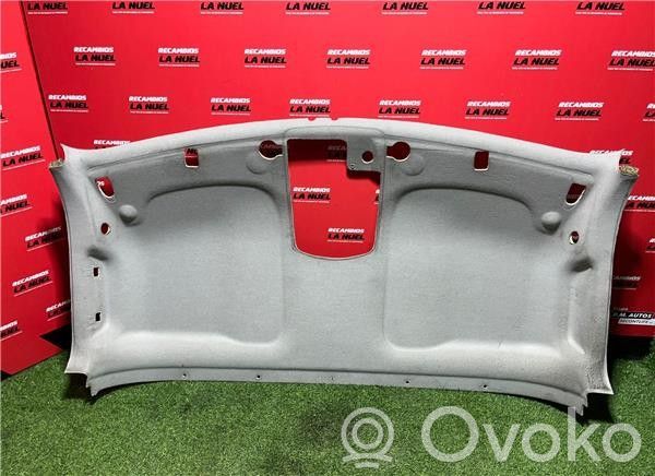 Opel Movano B Потолок 
