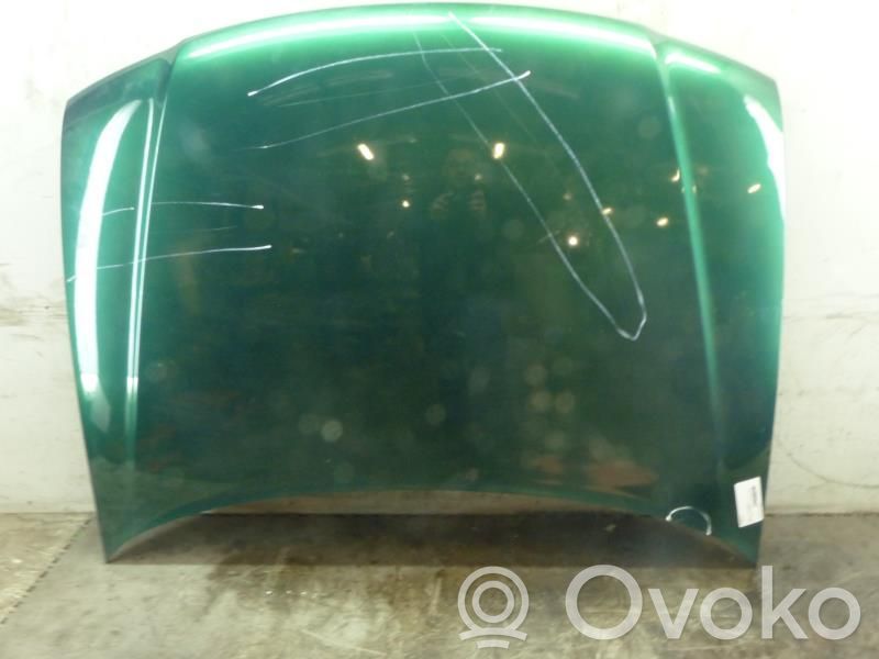 Dzinēja pārsegs (vāks)   8L0823029C