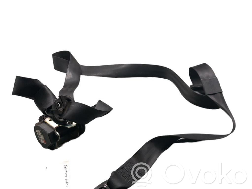 Cinturón delantero   8E0857705GV04