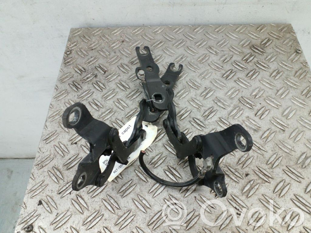 Engine bonnet/hood hinges   41617210674