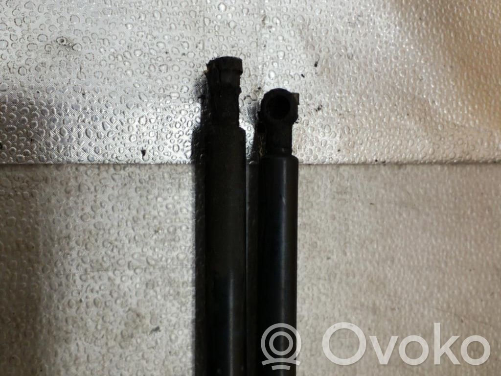 Tailgate/trunk strut/damper   51248402405