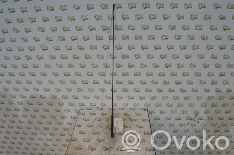 Radion antenni   96460481