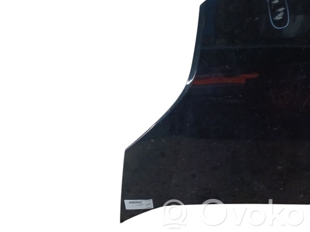 Engine bonnet/hood   00007901Q1