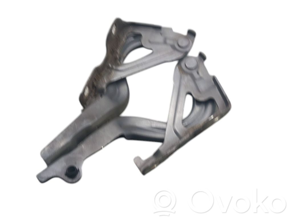 Scharnier Motorhaube   79110B4000