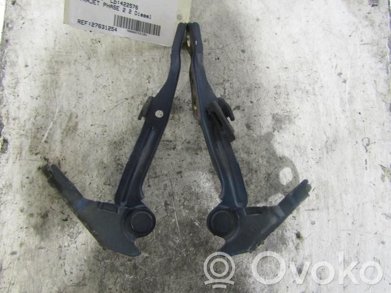 Hyundai Trajet Bisagras del capó/tapa del motor 