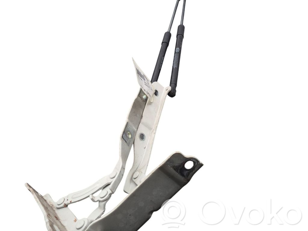 Engine bonnet/hood hinges   79110D4010