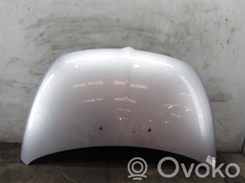 Mitsubishi Grandis Konepelti 