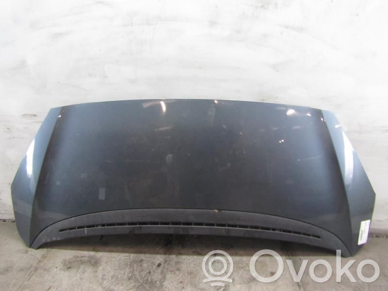 Konepelti   7901Q5