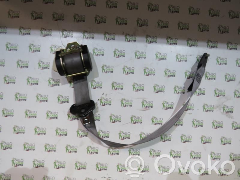 Cinturón delantero   8972QZ
