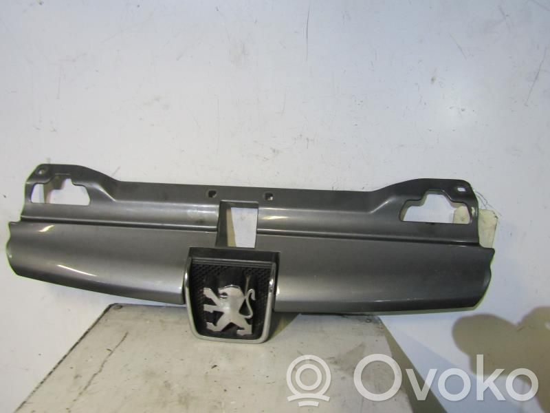 Peugeot 406 Etusäleikkö 