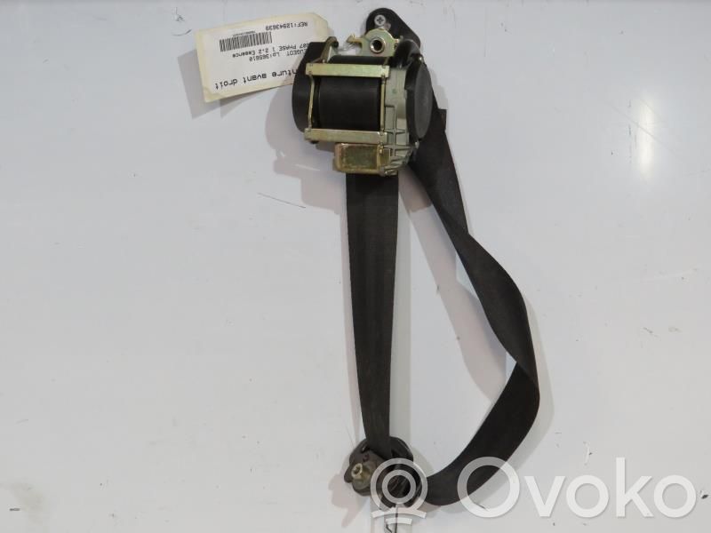 Cinturón delantero   8974CE
