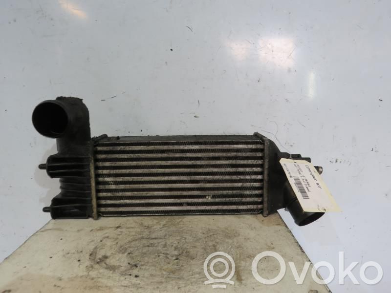 Radiador intercooler   0384F3