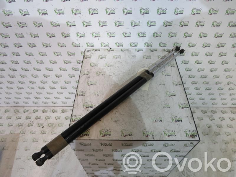 Tailgate/trunk strut/damper   8200021974