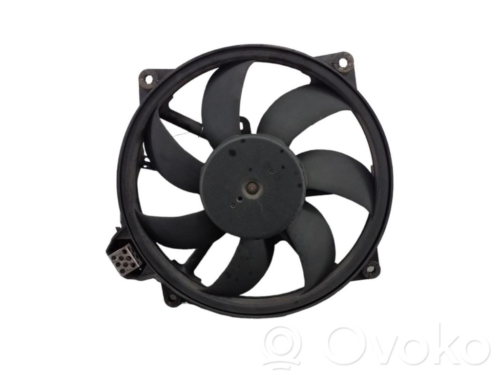 Elektrolüfter   214819402R