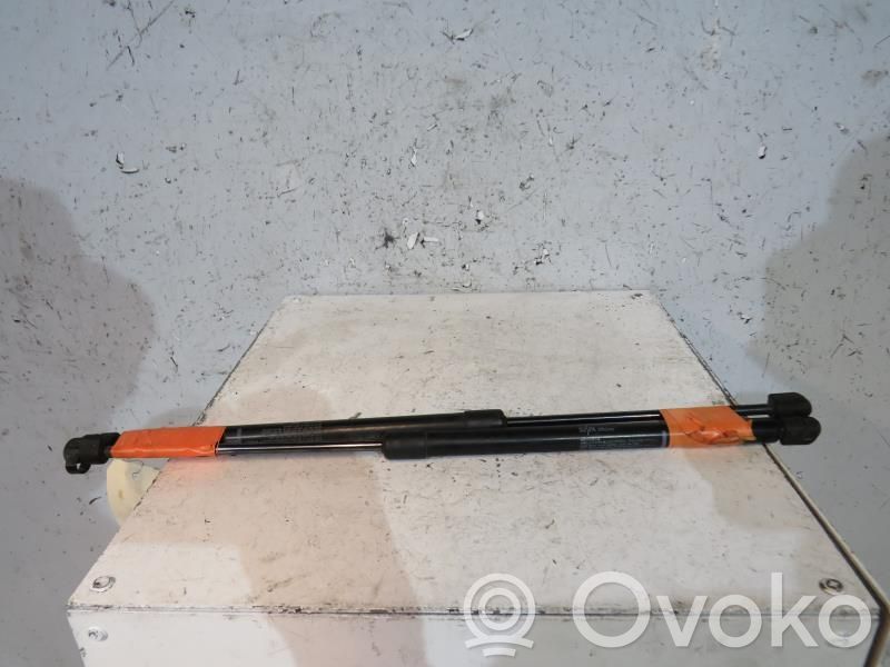 Tailgate/trunk strut/damper   95515833