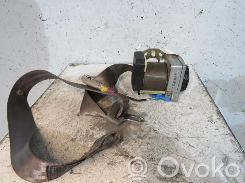 Cinturón delantero   1C2857706GHCS