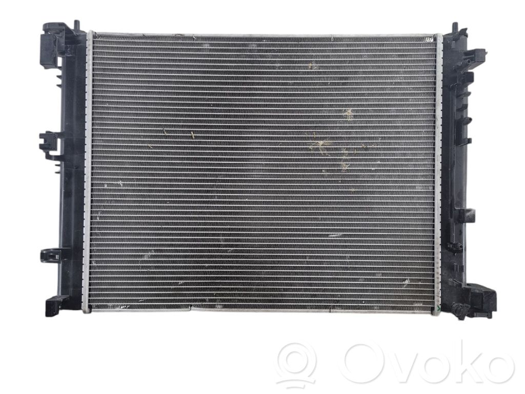 Coolant radiator   214105FA0B