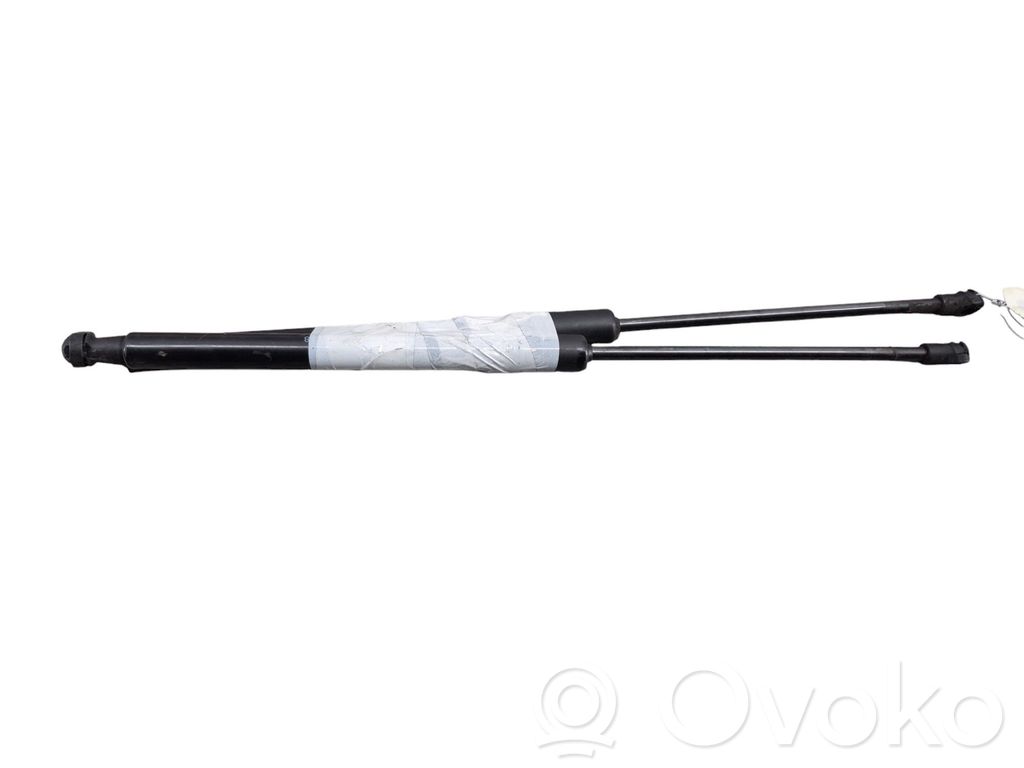 Tailgate/trunk strut/damper   9813177780
