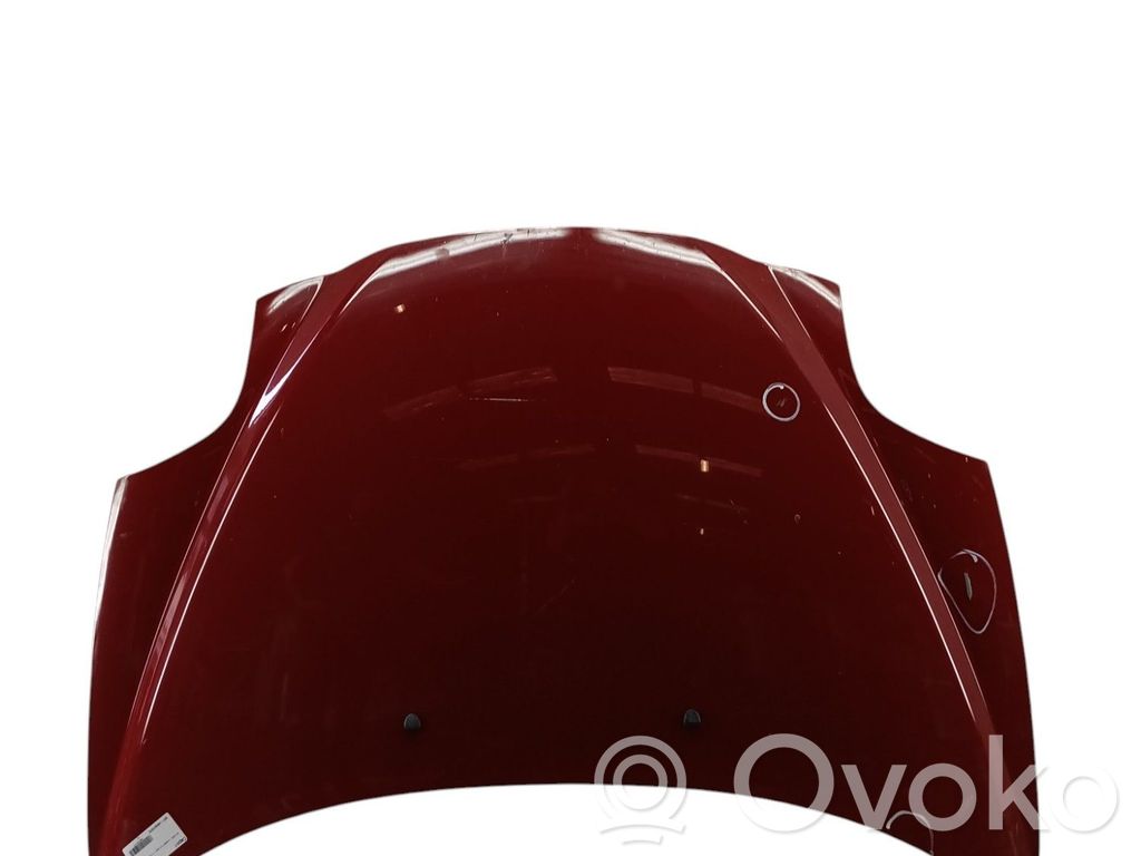 Capó/tapa del motor   50508702
