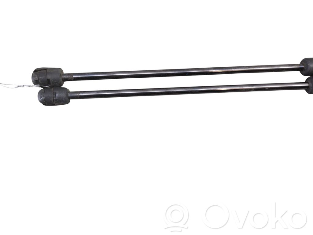 Tailgate/trunk strut/damper   13352789
