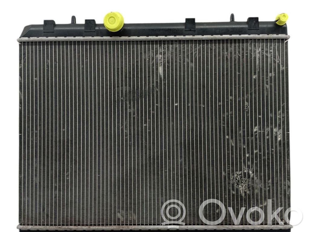 Radiator lichid răcire   0000133391