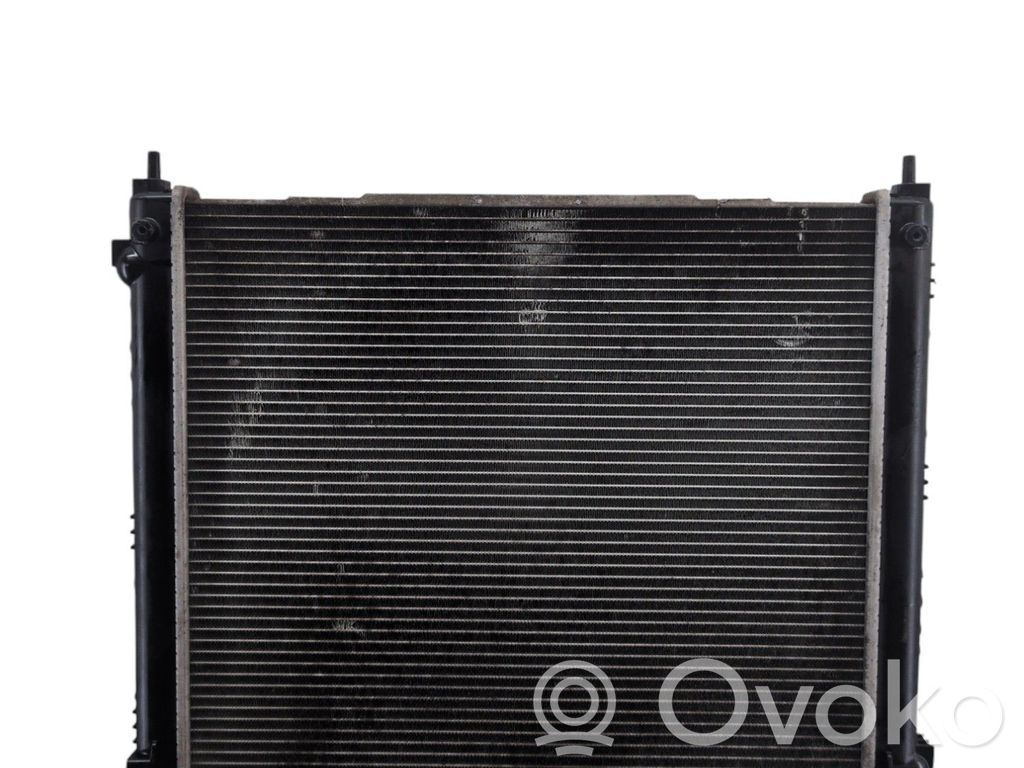 Nissan Juke I F15 Radiator lichid răcire 