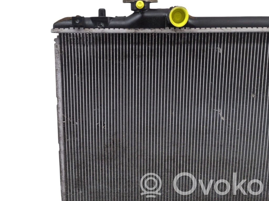 Coolant radiator   1770062J10
