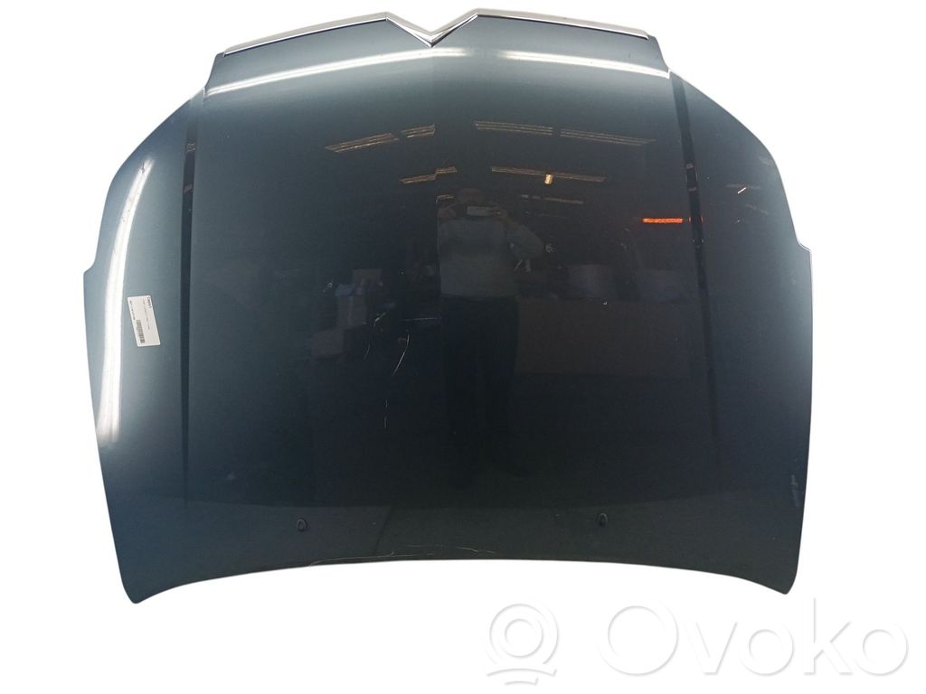 Engine bonnet/hood   00007901L4