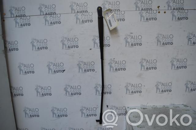 Citroen C5 Front wiper blade arm 