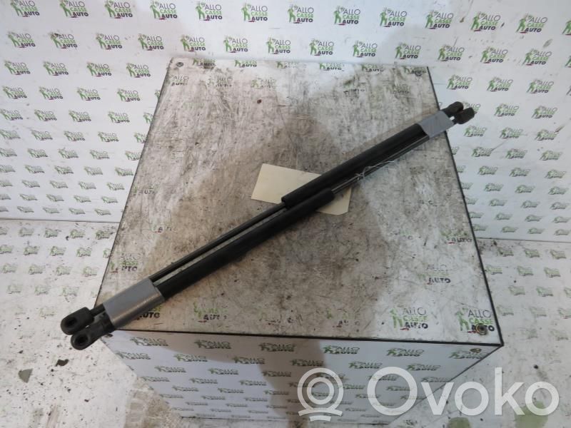 Tailgate/trunk strut/damper   1683725