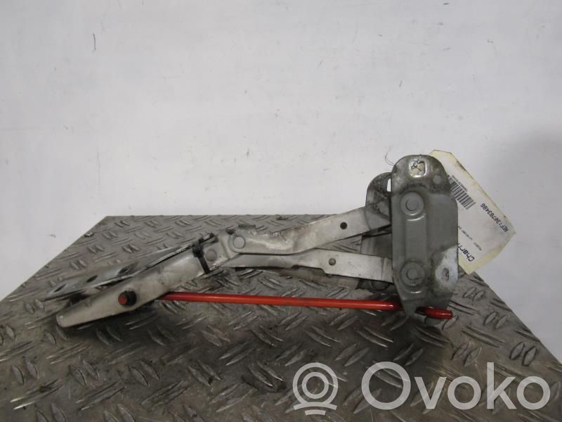 Peugeot Expert Engine bonnet/hood hinges 