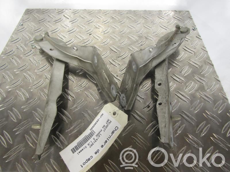 Peugeot 307 Cerniere del vano motore/cofano 